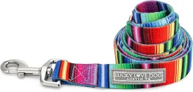 Lucky Love Dog Leash, Colorful Striped Dog Leash for Large Dogs, Durable & Long Lasting, (Nacho, Large)