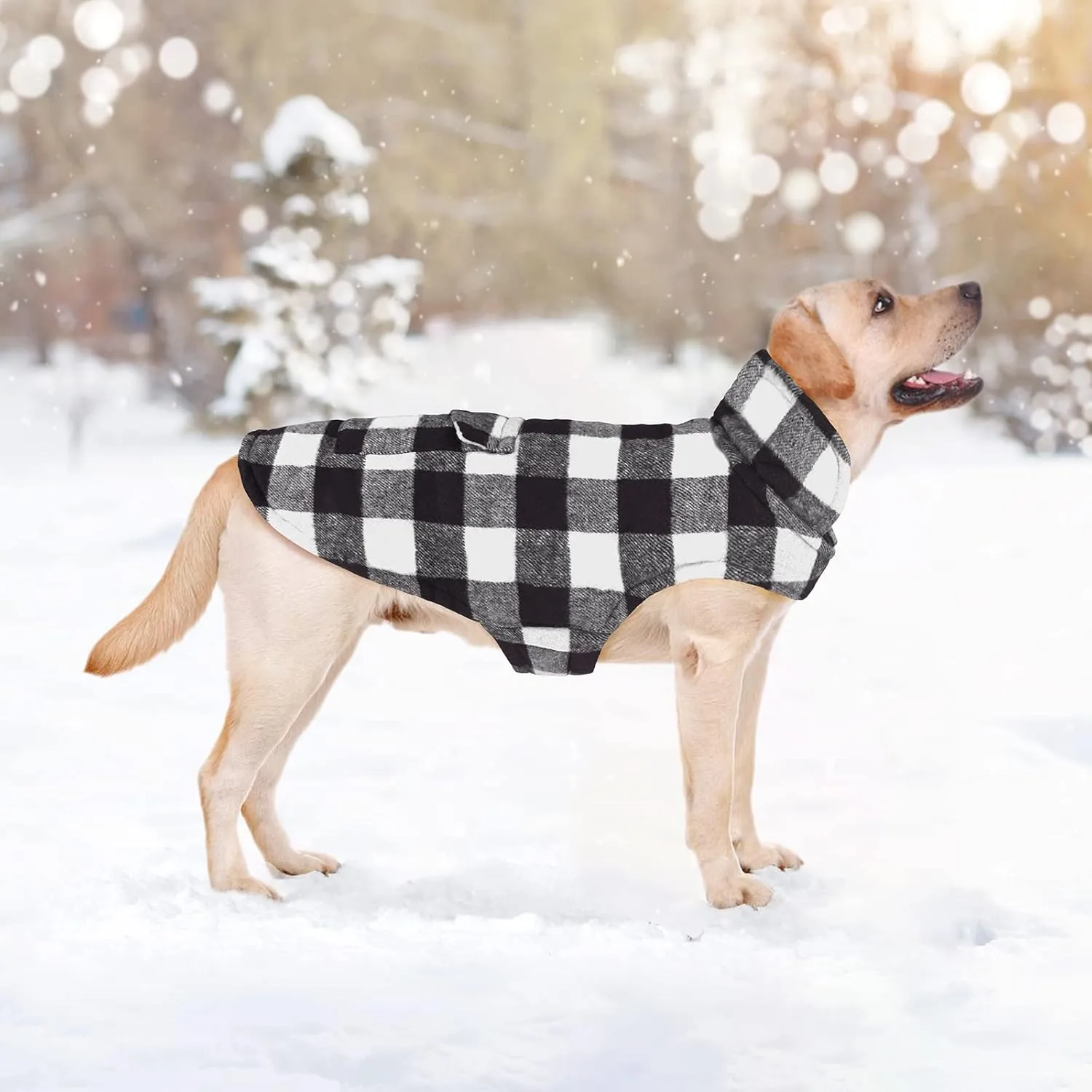 Malier Dog Winter Coat, Classic Plaid Fleece Dog Cold Weather Coats Dog Jacket with Pocket, Windprood Warm Dog Coat Vest Winter Pet Clothes Apparel for Small Medium Large Dogs (White, X-Small)