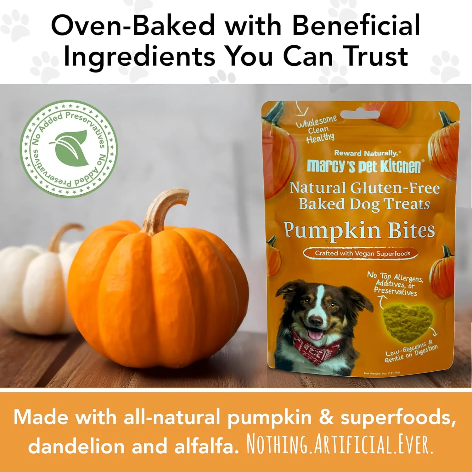Marcy's Pet Kitchen- Diabetic All Natural, Crunchy, Pumpkin Biscuit Dog Treats - No Preservatives-Crunchy Approved- Vegan, Gluten Free, Human Grade, Made in The USA, Healthy Pumpkin Dog Treats