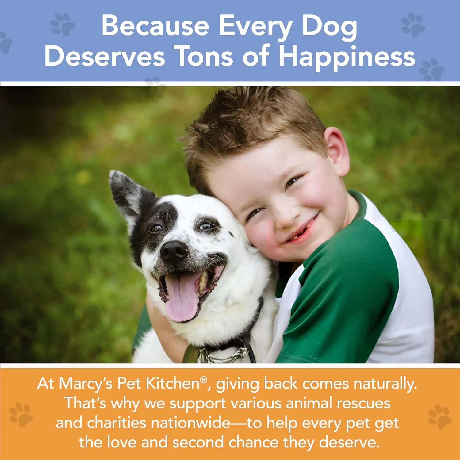 Marcy's Pet Kitchen- Diabetic All Natural, Crunchy, Pumpkin Biscuit Dog Treats - No Preservatives-Crunchy Approved- Vegan, Gluten Free, Human Grade, Made in The USA, Healthy Pumpkin Dog Treats