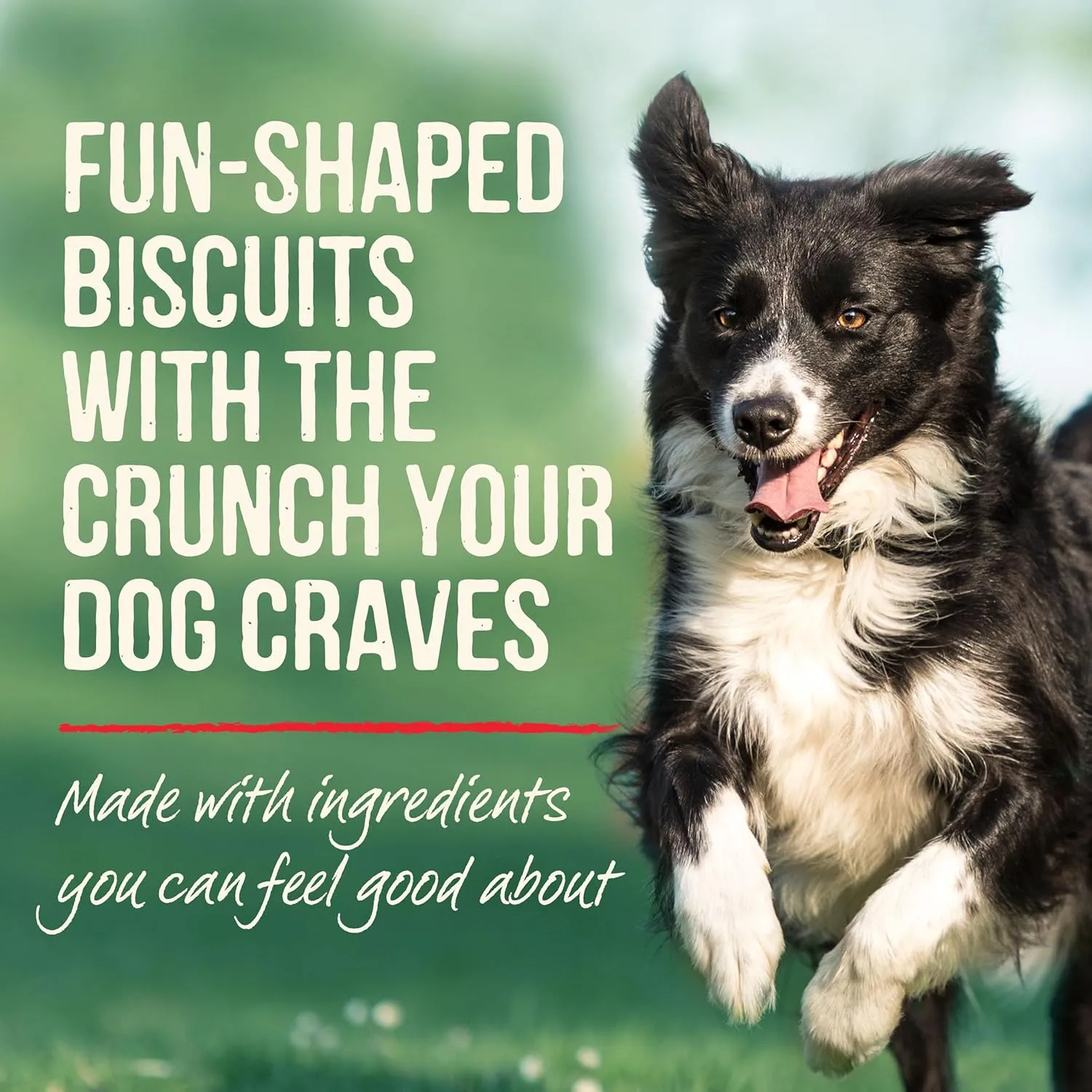 Merrick Oven Baked Dog Treats, Natural Cookies For Dogs, Pawsome Pnut Butter Cookie With Real Peanut Butter - 11 oz. Bag