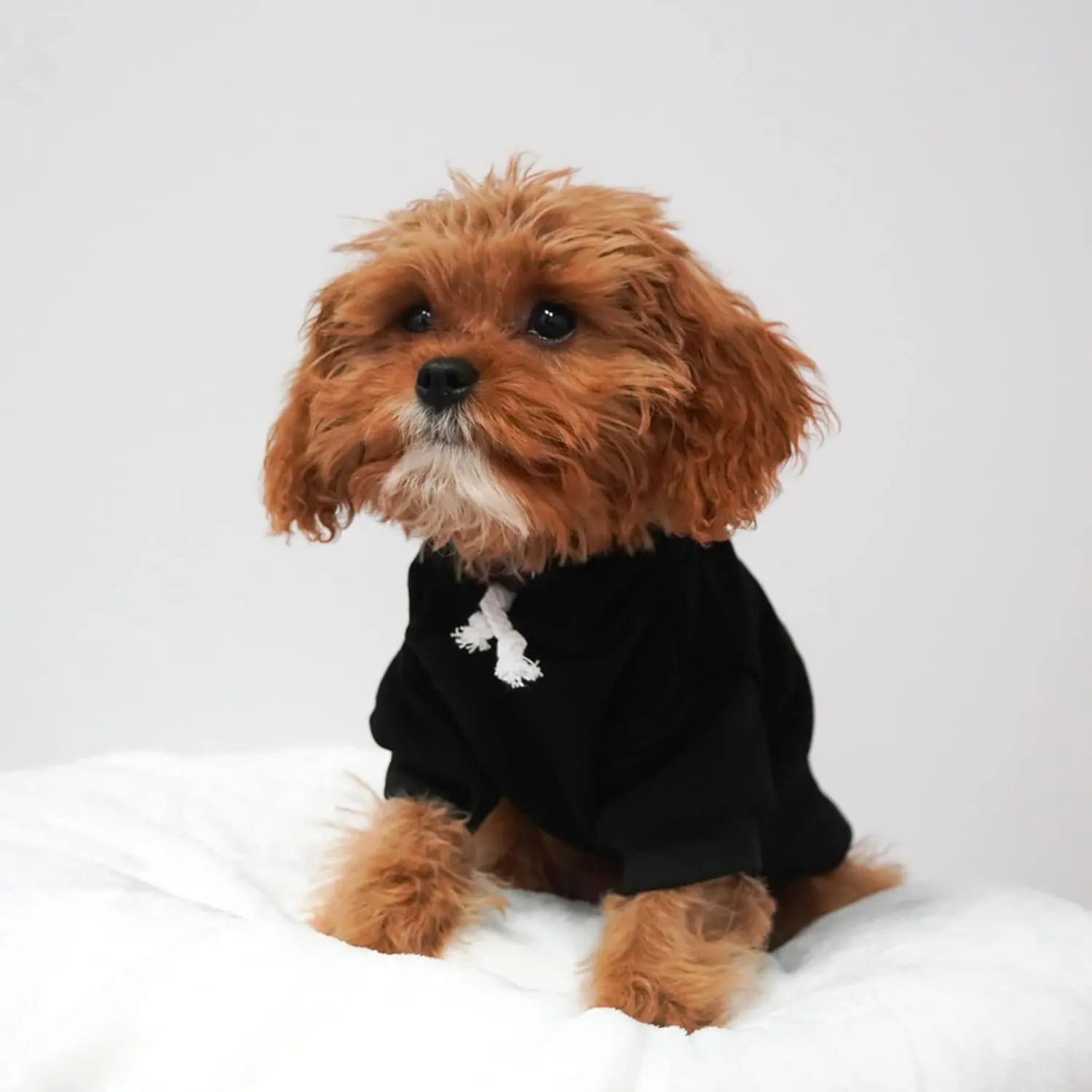 My Mom is Single Dog Hoodie Fleece Lined Pullover Sweatshirt with Leash Hole (Black, 6X-Large 115)