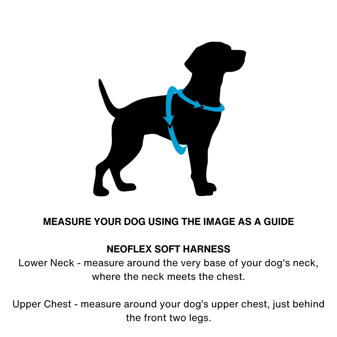 Neoflex Soft Harness - (Neon High Vis) Rin Tin Tin