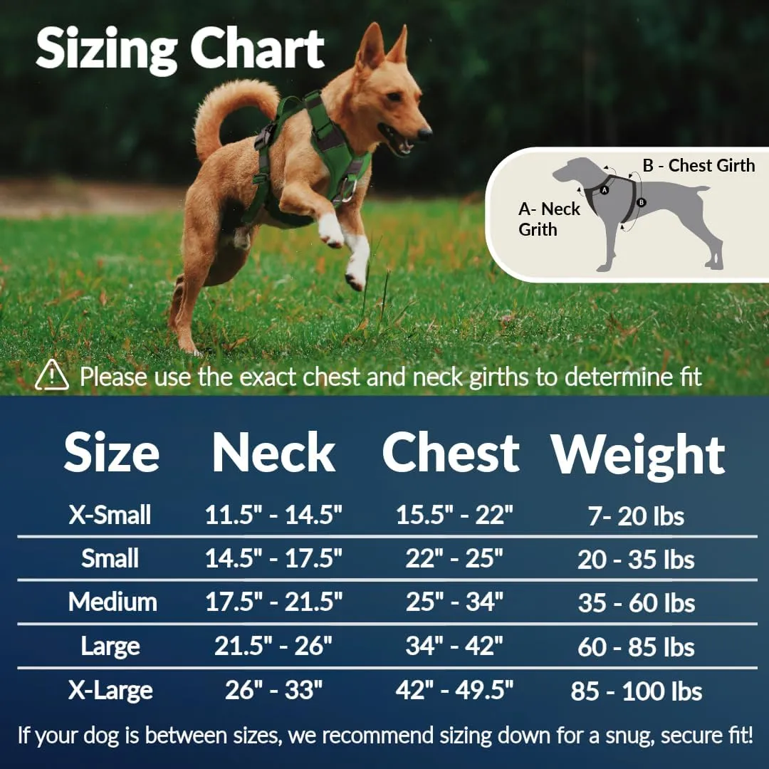 No Pull Dog Harness - Durable Polyester Puppy Harness with Front Anti-Pull Loop, Reflective Strips, and Quick-Release Clips for Small, Medium, and Large Dogs (Forest Green, Extra Small)