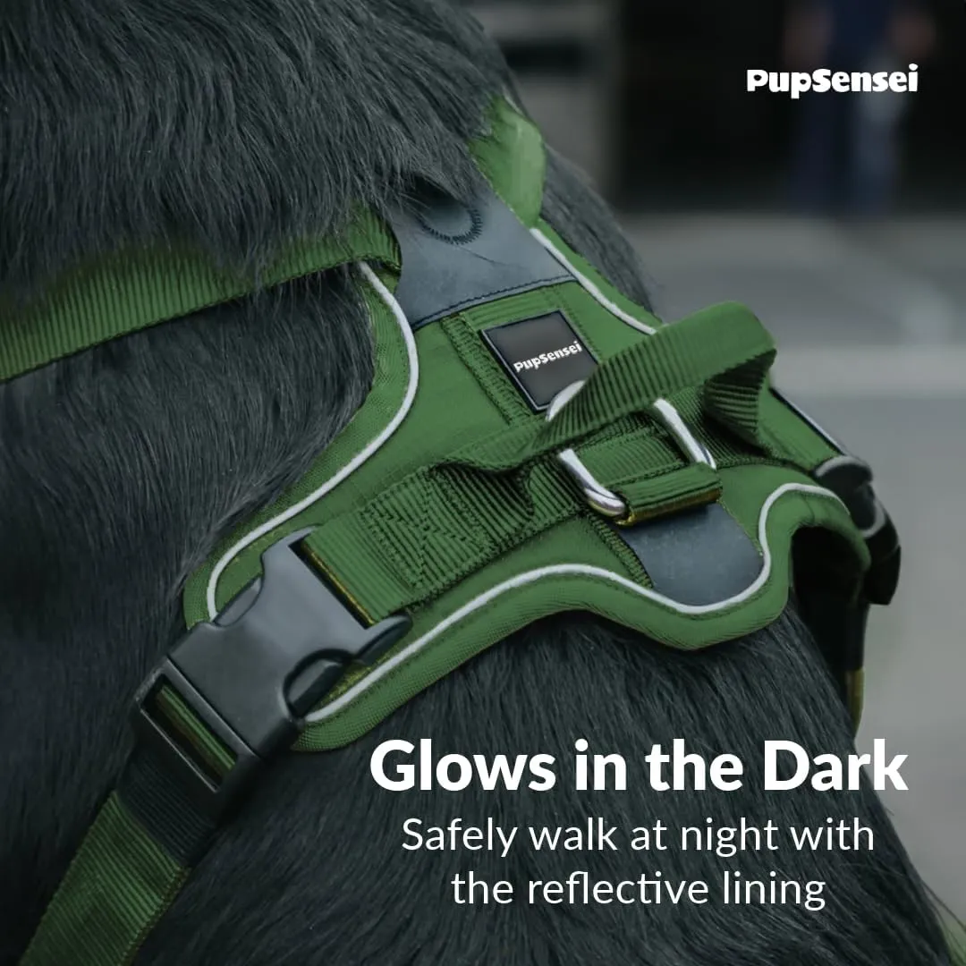No Pull Dog Harness - Durable Polyester Puppy Harness with Front Anti-Pull Loop, Reflective Strips, and Quick-Release Clips for Small, Medium, and Large Dogs (Forest Green, Extra Small)