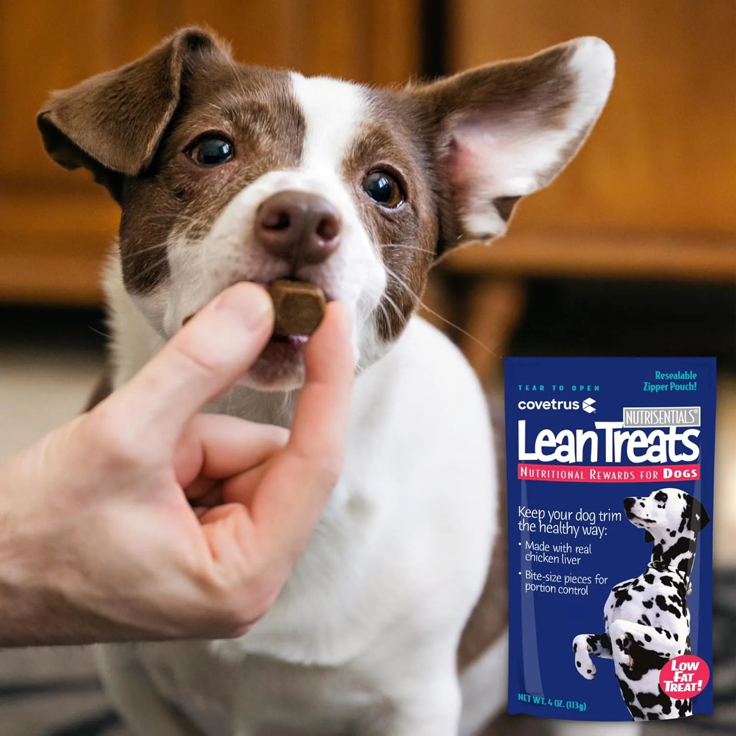 Nutrisential Lean Treats for Dogs - Soft Dog Treats for Small, Medium & Large Dogs - Nutritional Low Fat Bite Size K9 Treats - Chicken Flavor - 1 Pack - 4oz