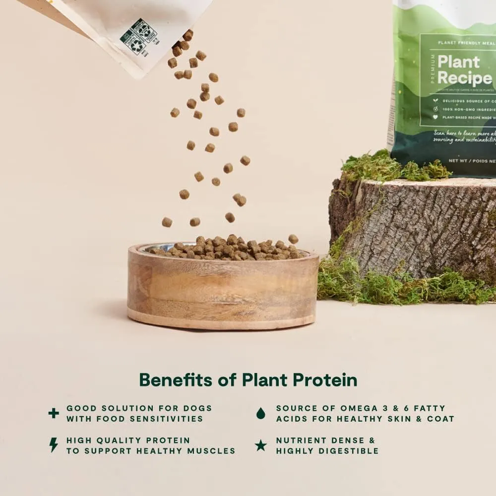 Open Farm Kind Earth Plant Based Dry Dog Kibble, Natural Vegan Dog Food, Source of Complete Protein, Nutrient-Dense, Highly Digestible, Hypoallergenic, Lower Carbon Footprint (20 Pound Pack of 1)