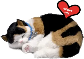 Original Petzzz Calico Cat, Realistic Lifelike Stuffed Interactive Pet Toy, Companion Dog with 100% Handcrafted Synthetic Fur