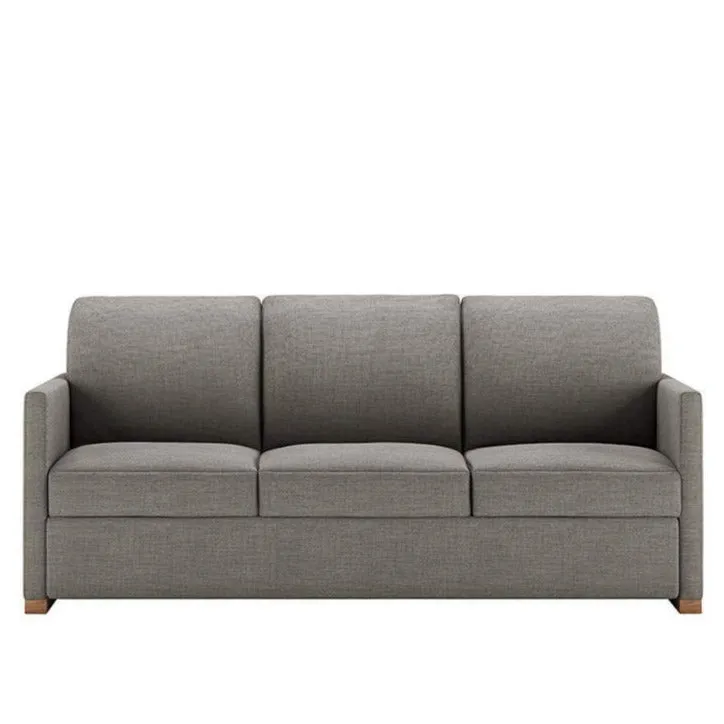 Pearson Comfort Sleeper