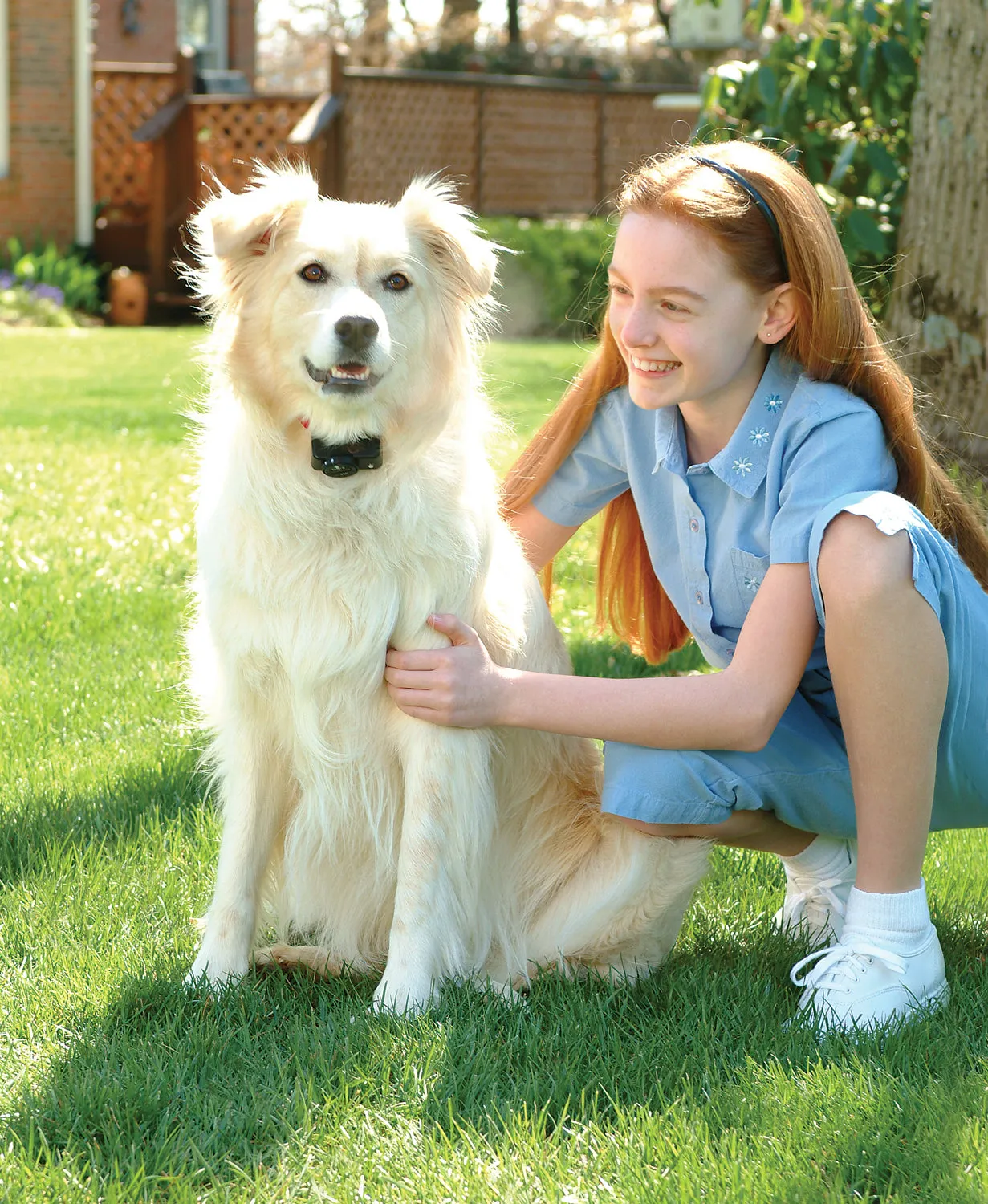 Pet Safe Wireless Fence Collar