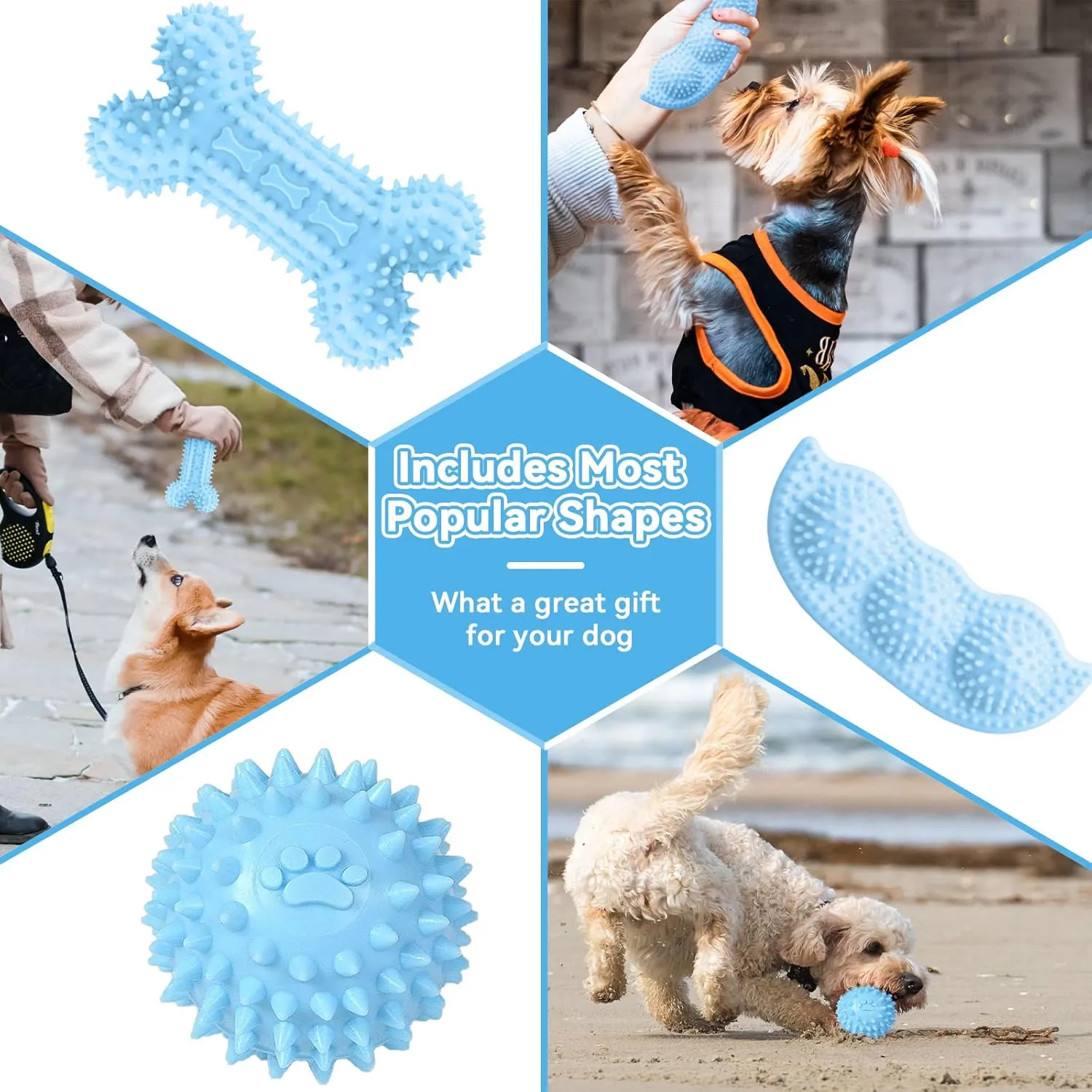 Petcare 6 Pack Puppy Chew Toys - Blue, Soft Rubber Rope & Bone Ball Teething Toys for Small Dogs & Puppies, Including Yorkie