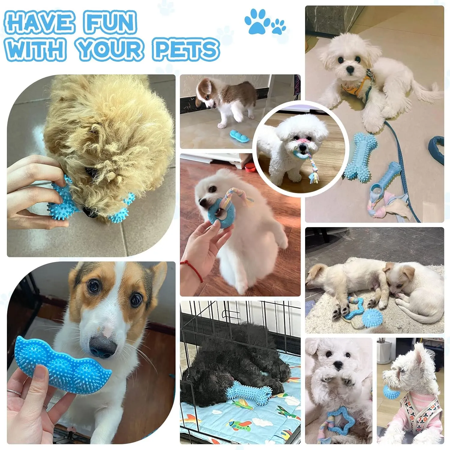 Petcare 6 Pack Puppy Chew Toys - Blue, Soft Rubber Rope & Bone Ball Teething Toys for Small Dogs & Puppies, Including Yorkie