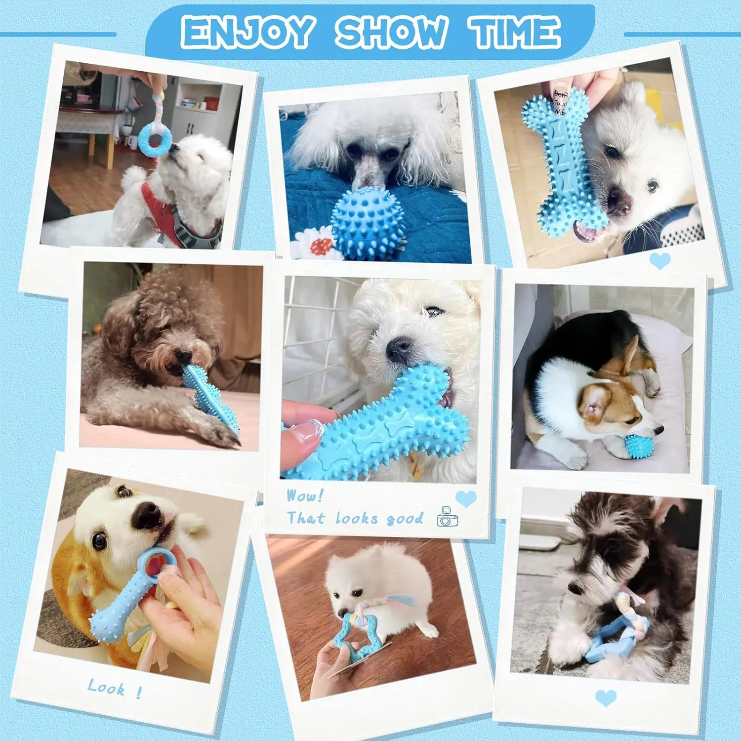 Petcare 6 Pack Puppy Chew Toys - Blue, Soft Rubber Rope & Bone Ball Teething Toys for Small Dogs & Puppies, Including Yorkie