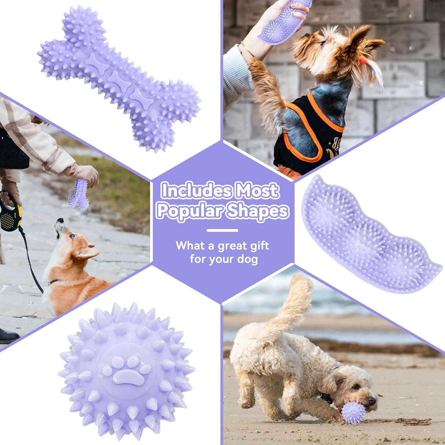 Petcare 6 Pack Puppy Teething Toys, Cute Purple Small Dog Chew Toys for Puppies 0-6 Months, Soft Rubber Rope Dog Teething Toys, Best Small Puppy Toys, Puppy Essentials Supplies