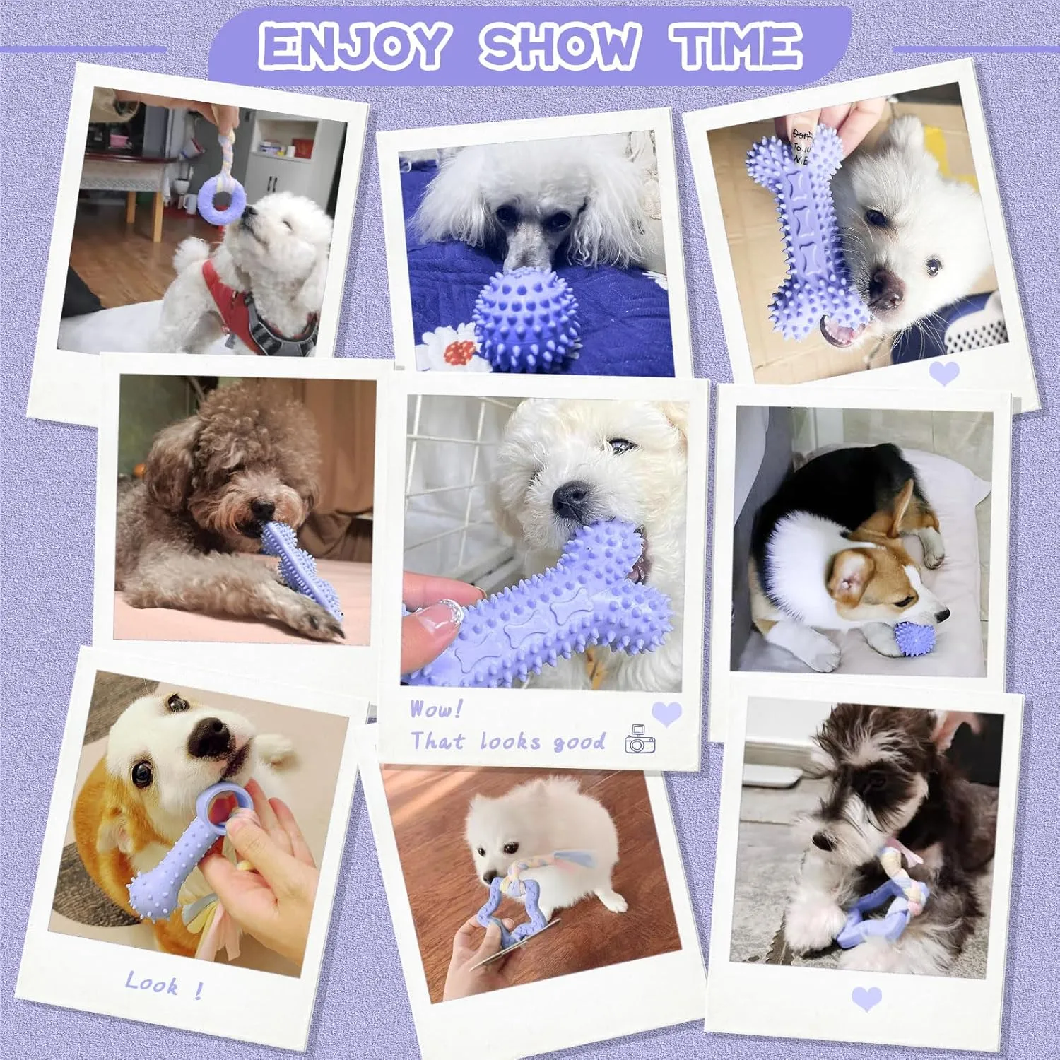 Petcare 6 Pack Puppy Teething Toys, Cute Purple Small Dog Chew Toys for Puppies 0-6 Months, Soft Rubber Rope Dog Teething Toys, Best Small Puppy Toys, Puppy Essentials Supplies