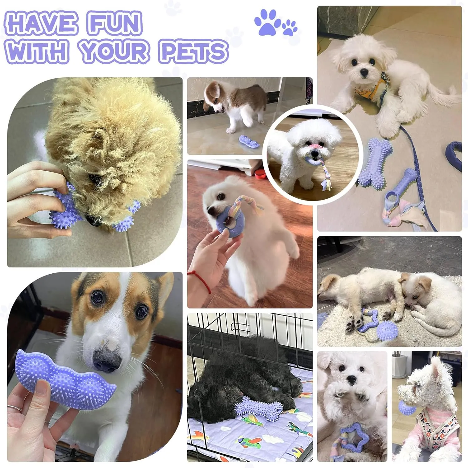 Petcare 6 Pack Puppy Teething Toys, Cute Purple Small Dog Chew Toys for Puppies 0-6 Months, Soft Rubber Rope Dog Teething Toys, Best Small Puppy Toys, Puppy Essentials Supplies