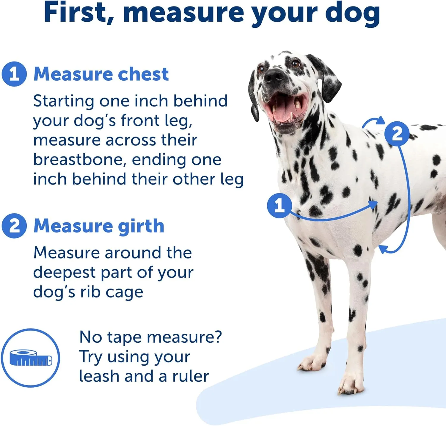 PetSafe Easy Walk Deluxe Dog Harness, No Pull Dog Harness  Perfect for Leash & Harness Training  Stops Pets from Pulling and Choking on Walks  Large, Ocean