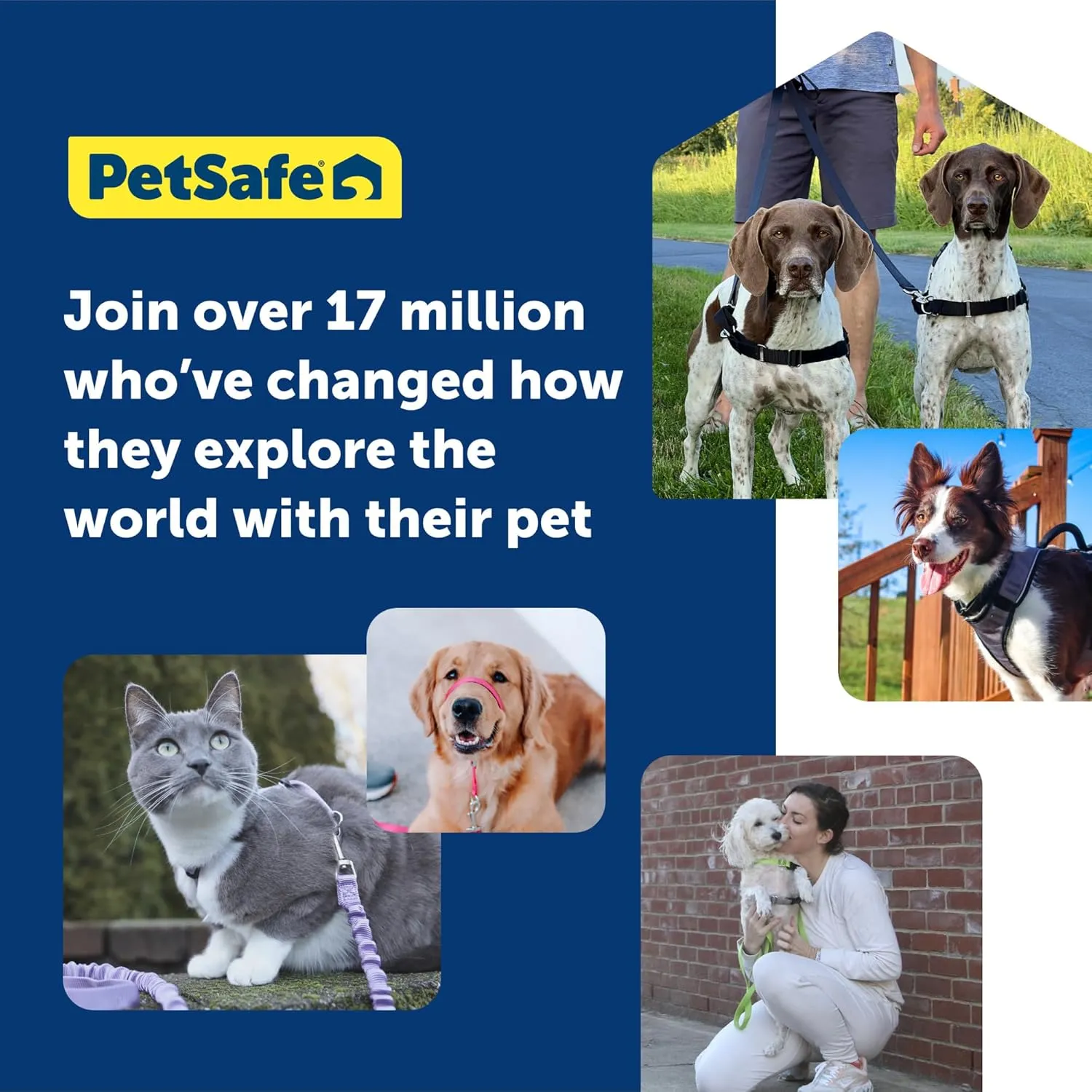 PetSafe Easy Walk Deluxe Dog Harness, No Pull Dog Harness  Perfect for Leash & Harness Training  Stops Pets from Pulling and Choking on Walks  Large, Ocean