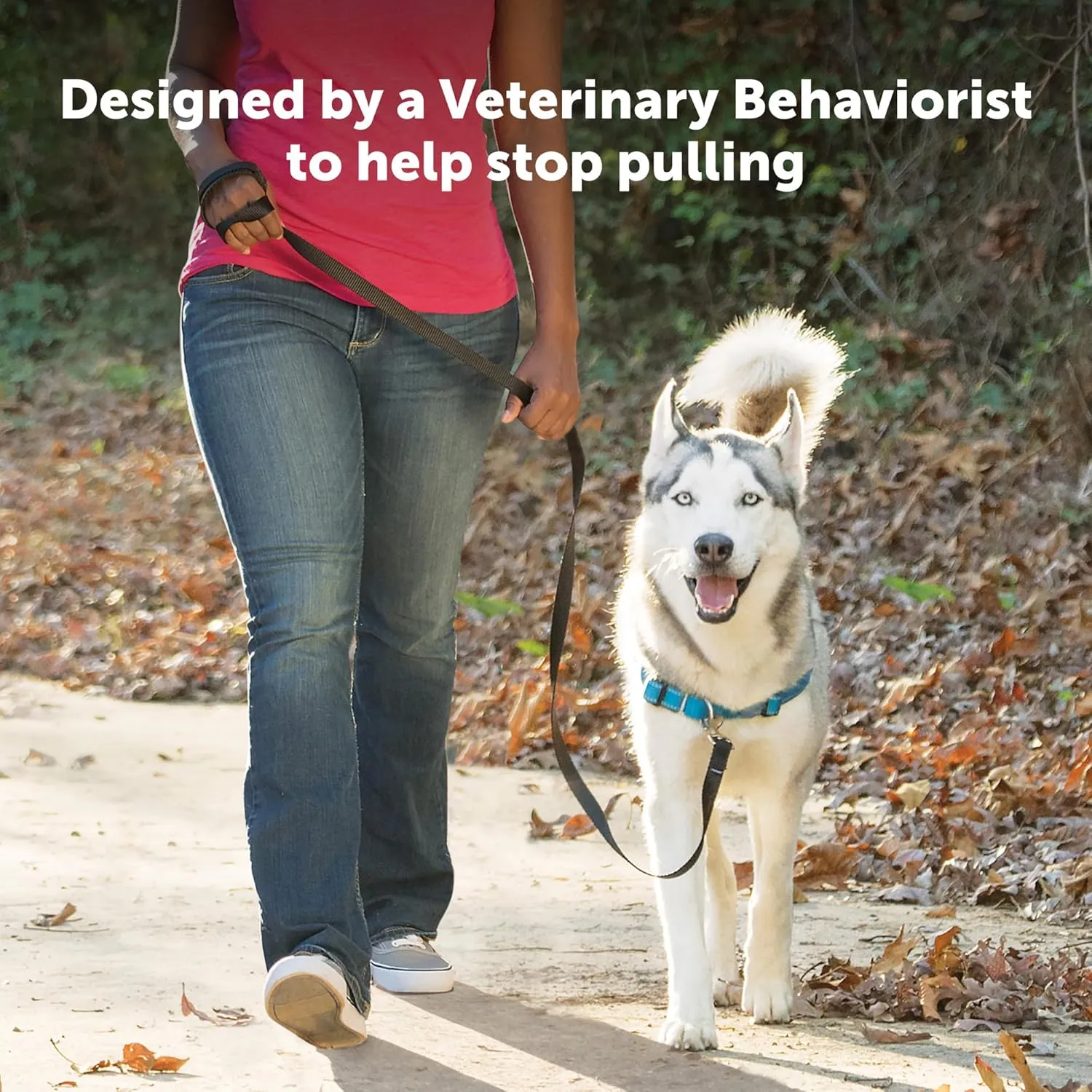 PetSafe Easy Walk Deluxe Dog Harness, No Pull Dog Harness  Perfect for Leash & Harness Training  Stops Pets from Pulling and Choking on Walks  Large, Ocean