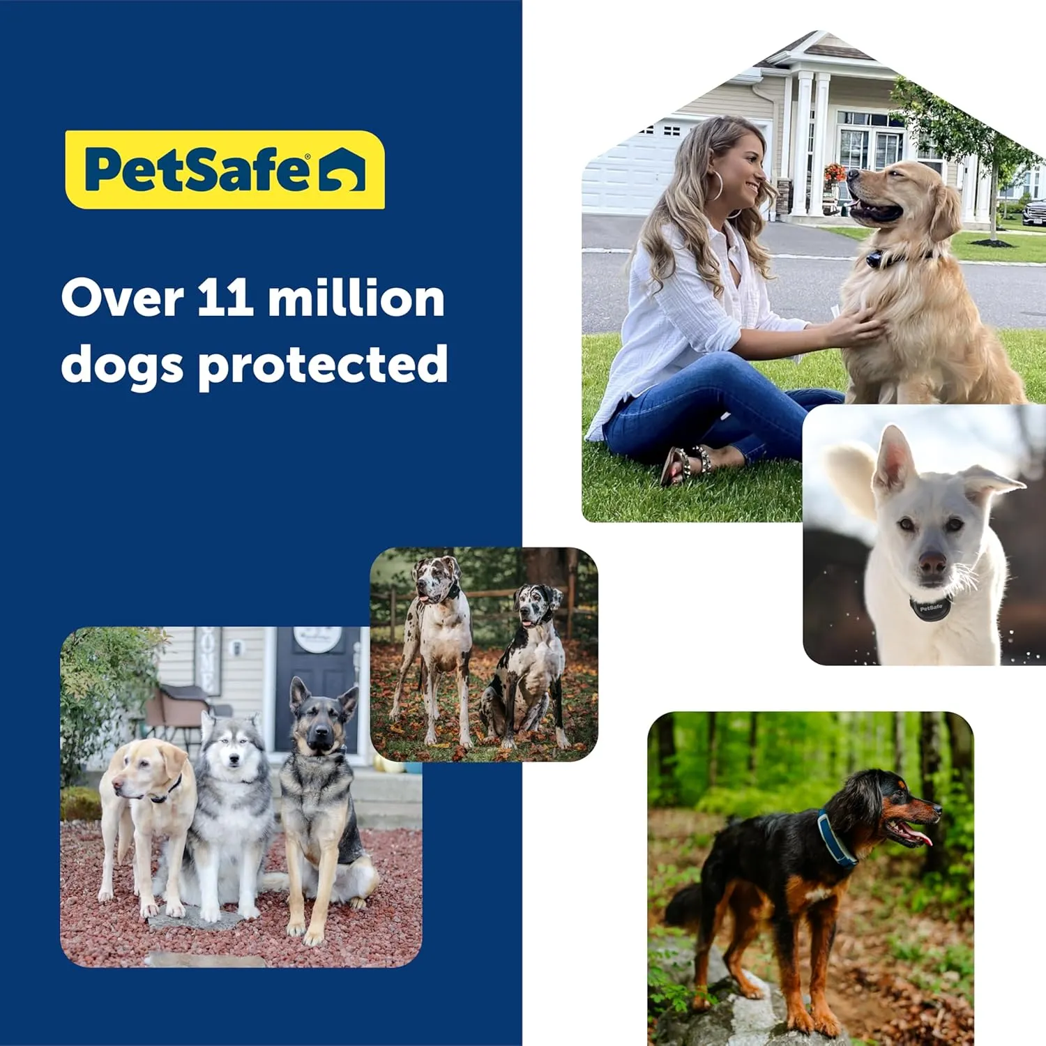 PetSafe Guardian GPS  - Guardian GPS  -  AccuGuard  -  10  - 