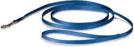 PetSafe Nylon Dog Leash  Strong, Durable, Traditional Style Leash with Easy to Use Bolt Snap for Small, Medium and Large Dogs  3/8" x 6', Royal Blue