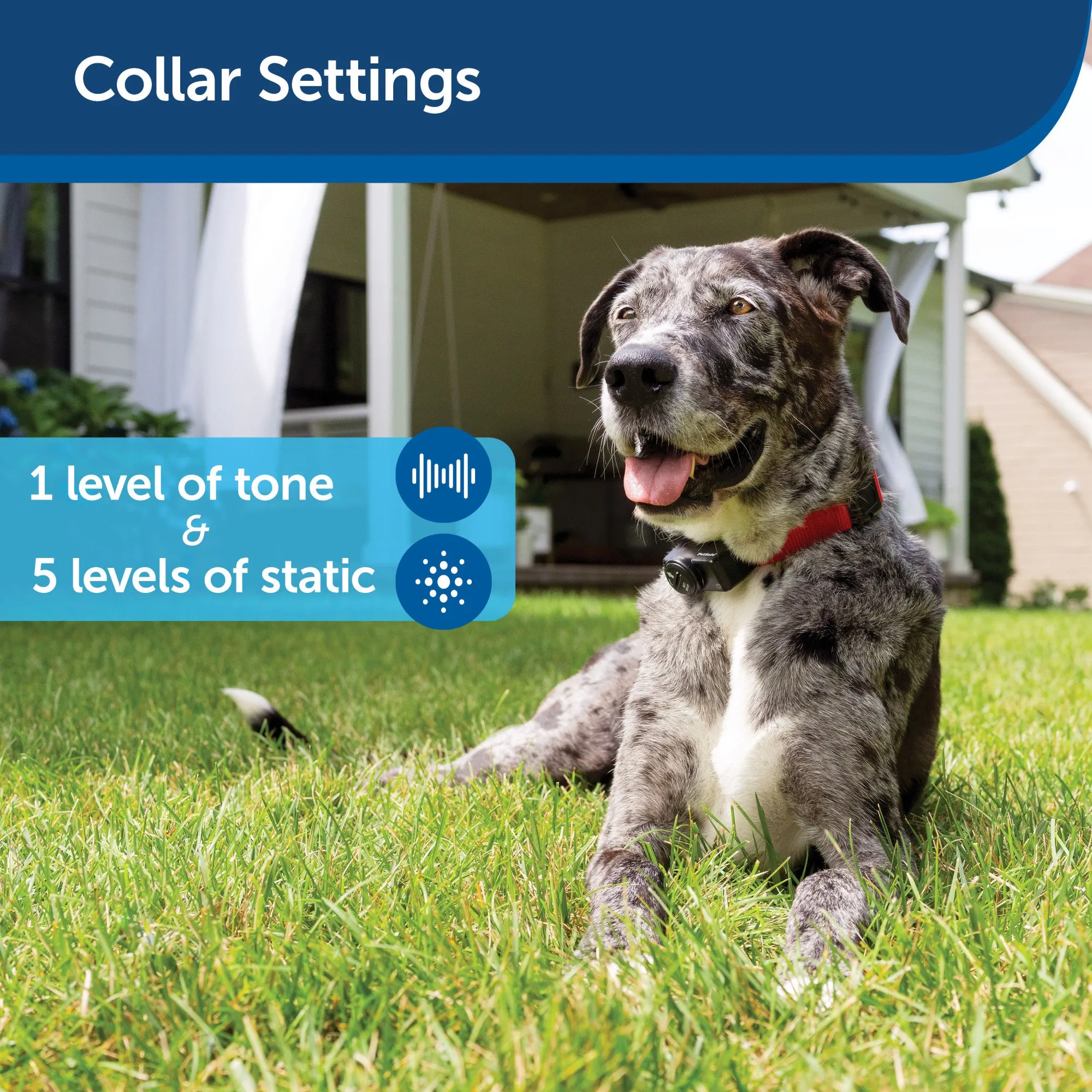 PetSafe Wireless Pet Containment System Receiver Collar Only for Dogs and Cats over 5 lb., Waterproof with Tone and Static Correction - From The Parent Company of INVISIBLE FENCE Brand