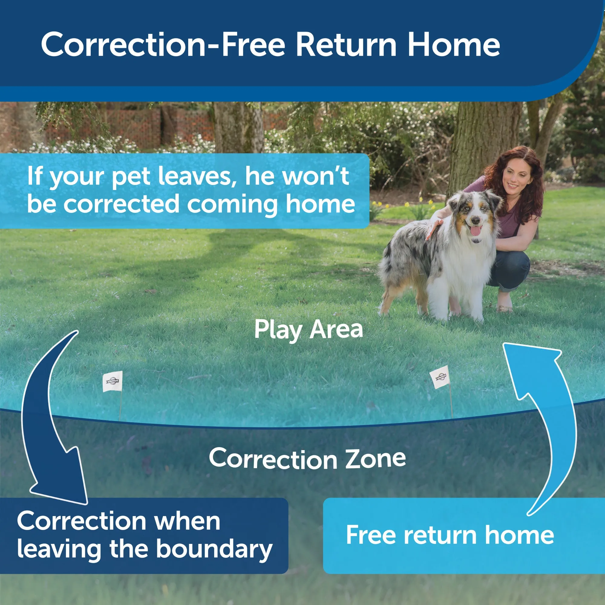 PetSafe Wireless Pet Containment System Receiver Collar Only for Dogs and Cats over 5 lb., Waterproof with Tone and Static Correction - From The Parent Company of INVISIBLE FENCE Brand
