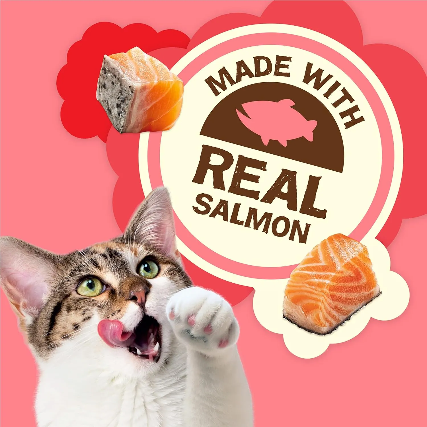 Purina Friskies Natural Cat Treats, Party Mix Natural Yums With Real Salmon and Vitamins, Minerals & Nutrients - (Pack of 6) 6 oz. Pouches