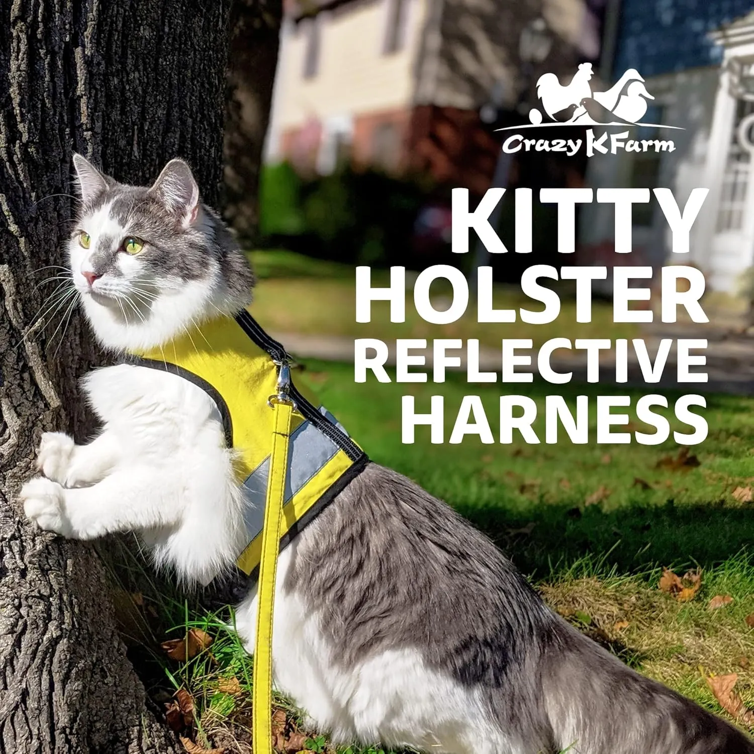 Reflective Cat Harness - High-Visibility Cat Vest for Day & Night | Secure, Breathable and Washable Cotton | Ideal for Walking & Traveling - Sunshine Yellow, S to M
