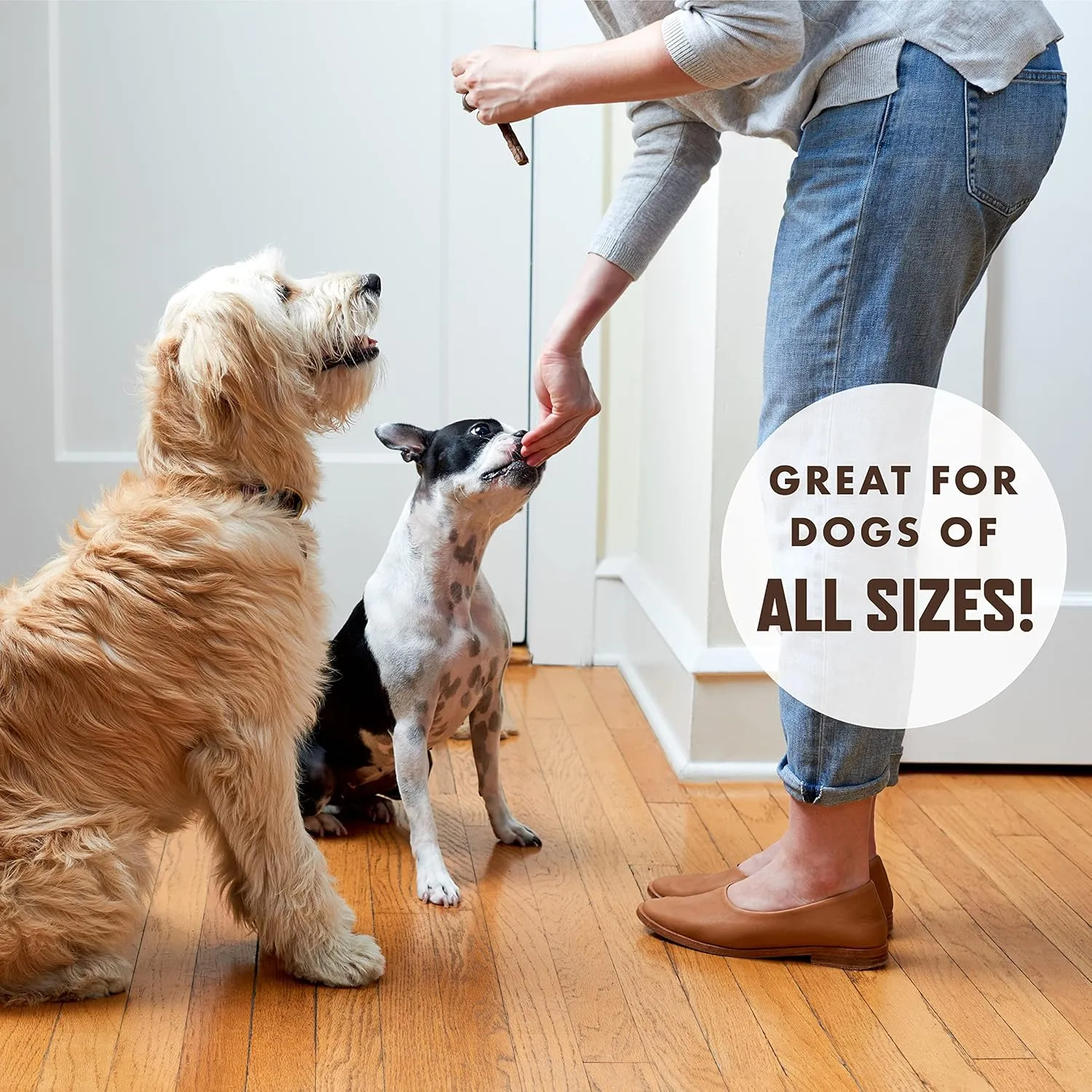 Rocco & Roxie - Jerky Dog Treats Made in USA  Puppy Supplies - Healthy Treats for Potty Training - High Value Real Meat Slow Roasted Snacks for Small, Medium and Large Dogs and Puppies - Soft Chews