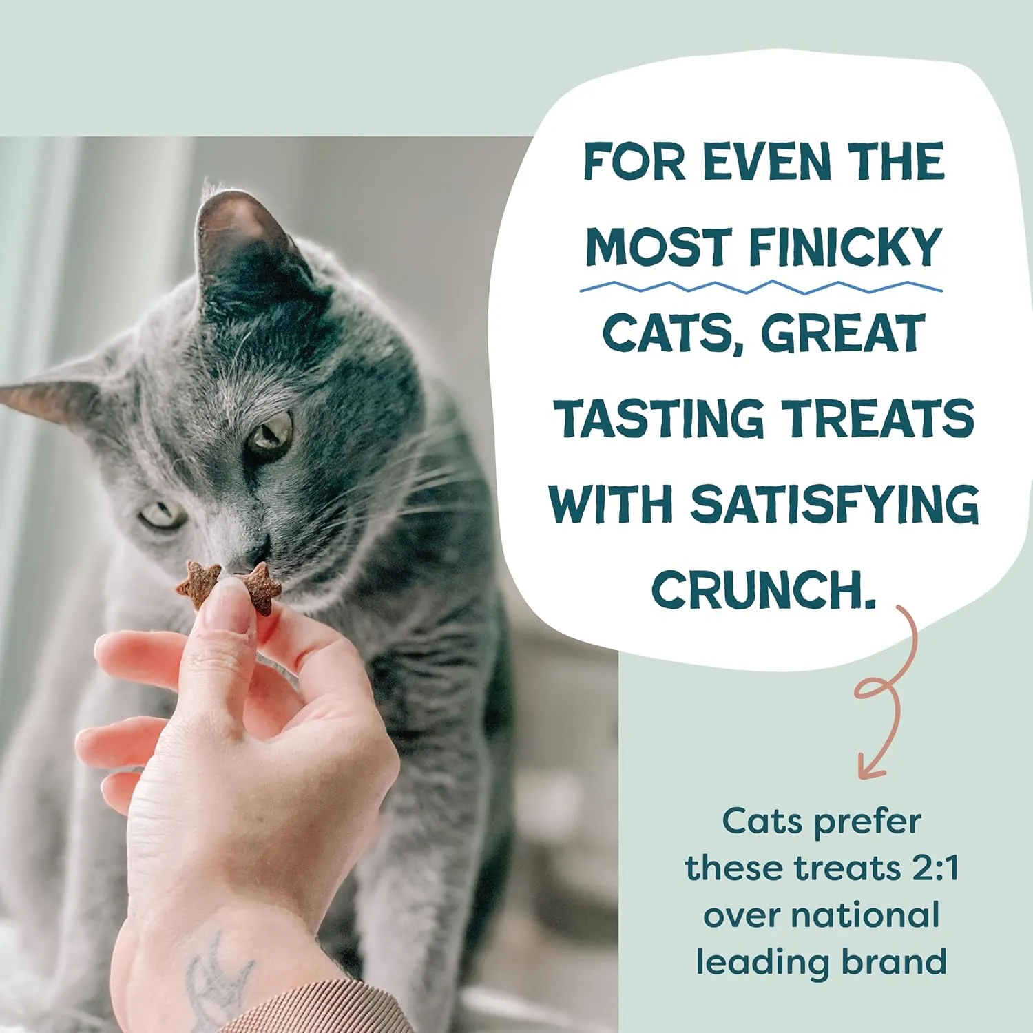 Shameless Pets Crunchy Cat Treats - Kitty Treats with Skin & Coat Support, Natural Ingredients Kitten Treats with Real Salmon, Healthy Flavored Feline Snacks, Yam Good Salmon, 3-Pk
