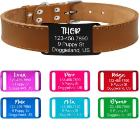 Slide-On Aluminum Pet ID  Silent No-Jingle Custom Name Plate for Cats, Dogs & Puppies, Laser Engraved with Contact Info