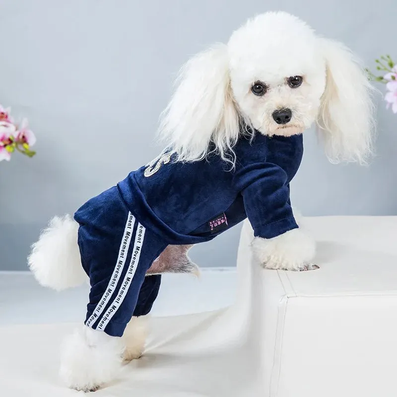 Sport Stylish Hoodie for Dogs