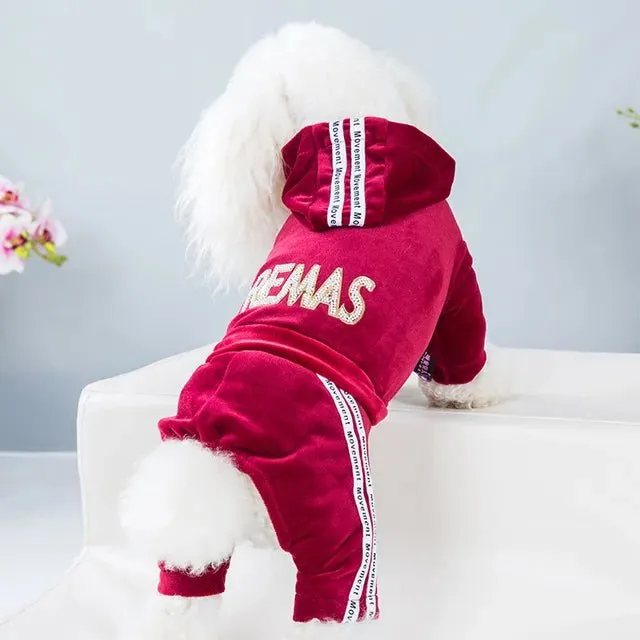 Sport Stylish Hoodie for Dogs
