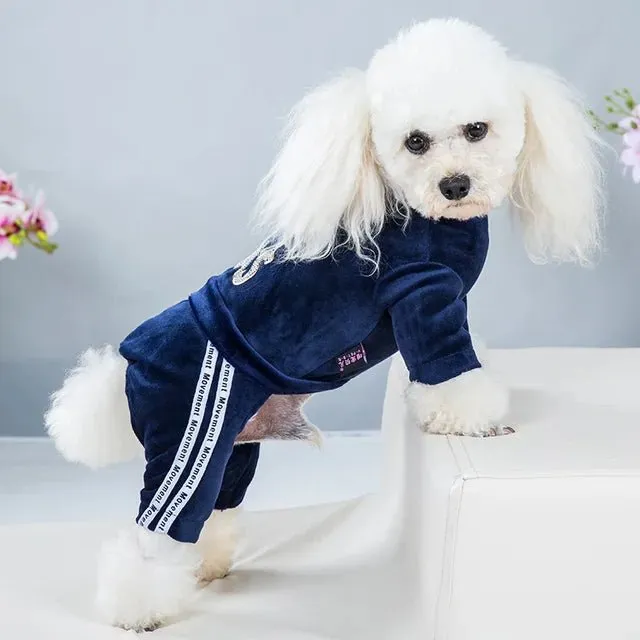 Sport Stylish Hoodie for Dogs