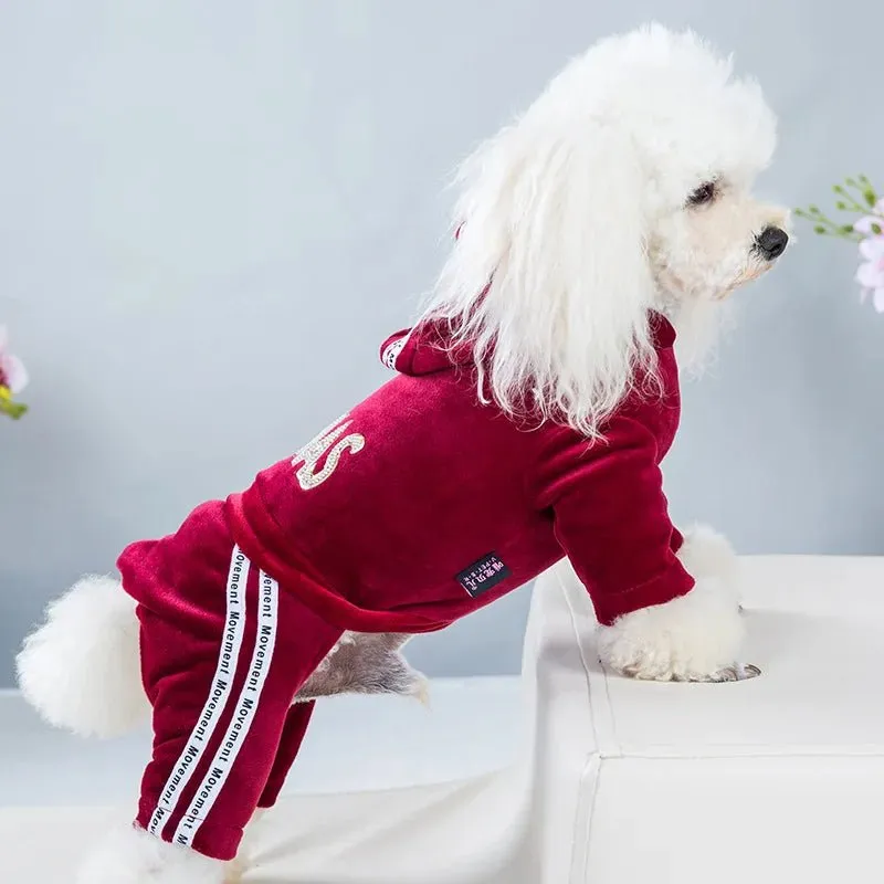 Sport Stylish Hoodie for Dogs