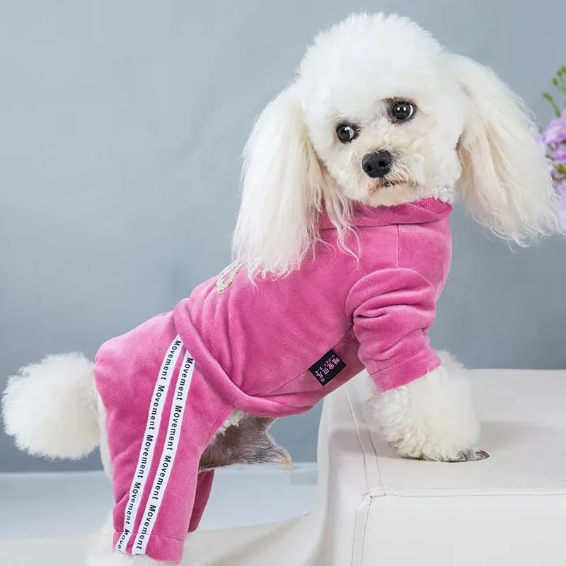 Sport Stylish Hoodie for Dogs