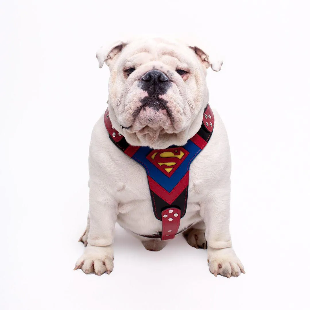''Superman'' harness Medium Size