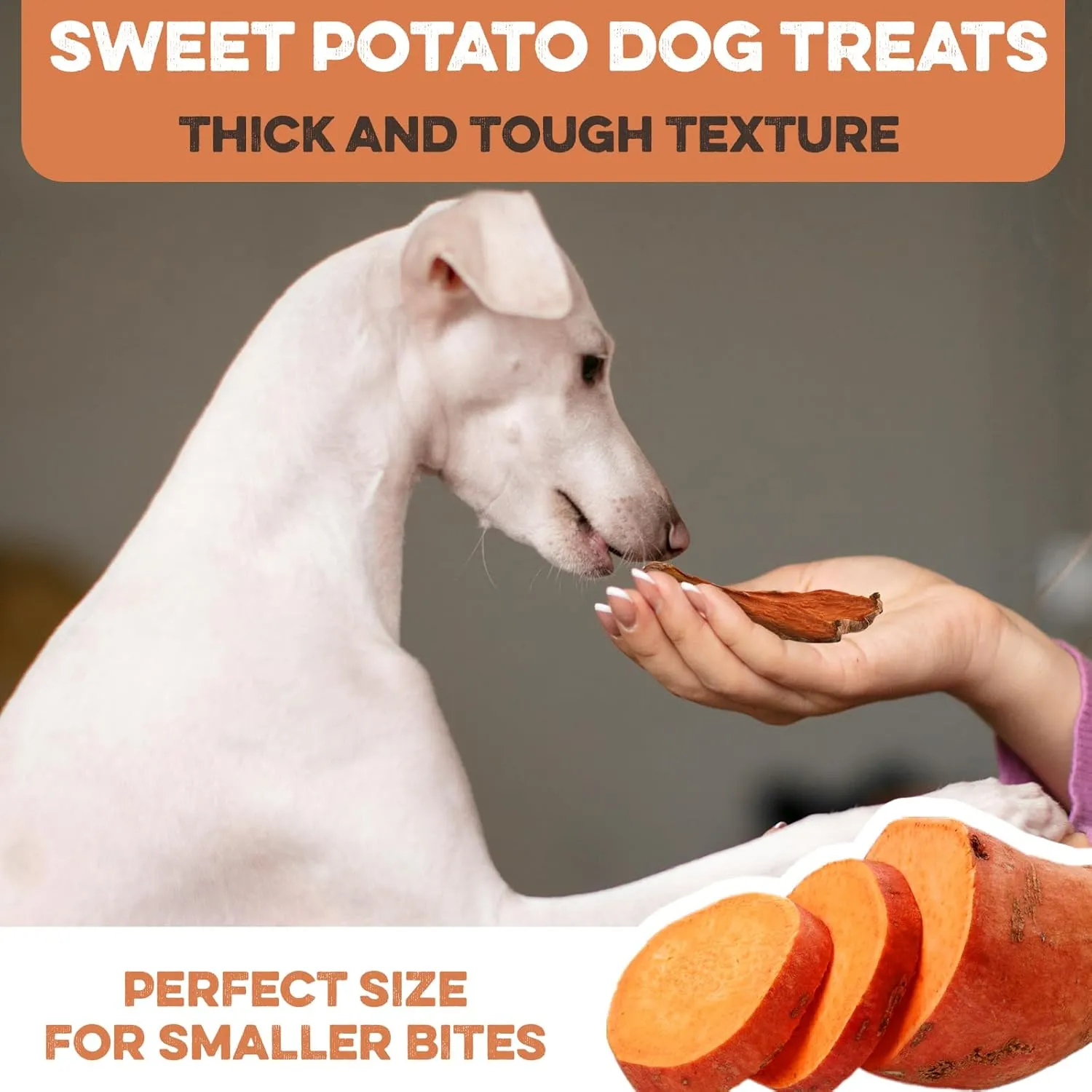 Sweet Potato Slices For Dogs - Half Slices, 14 oz - Single Ingredient Grain Free Dog Treats, Best High Anti-Oxidant Healthy 100% Natural Thick Cut Dried Sweet Potato Dog Treats, No Added Preservatives