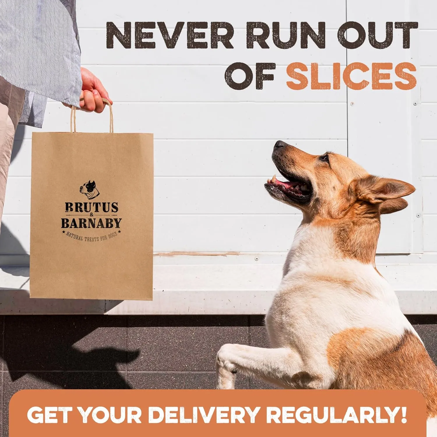 Sweet Potato Slices For Dogs - Half Slices, 14 oz - Single Ingredient Grain Free Dog Treats, Best High Anti-Oxidant Healthy 100% Natural Thick Cut Dried Sweet Potato Dog Treats, No Added Preservatives