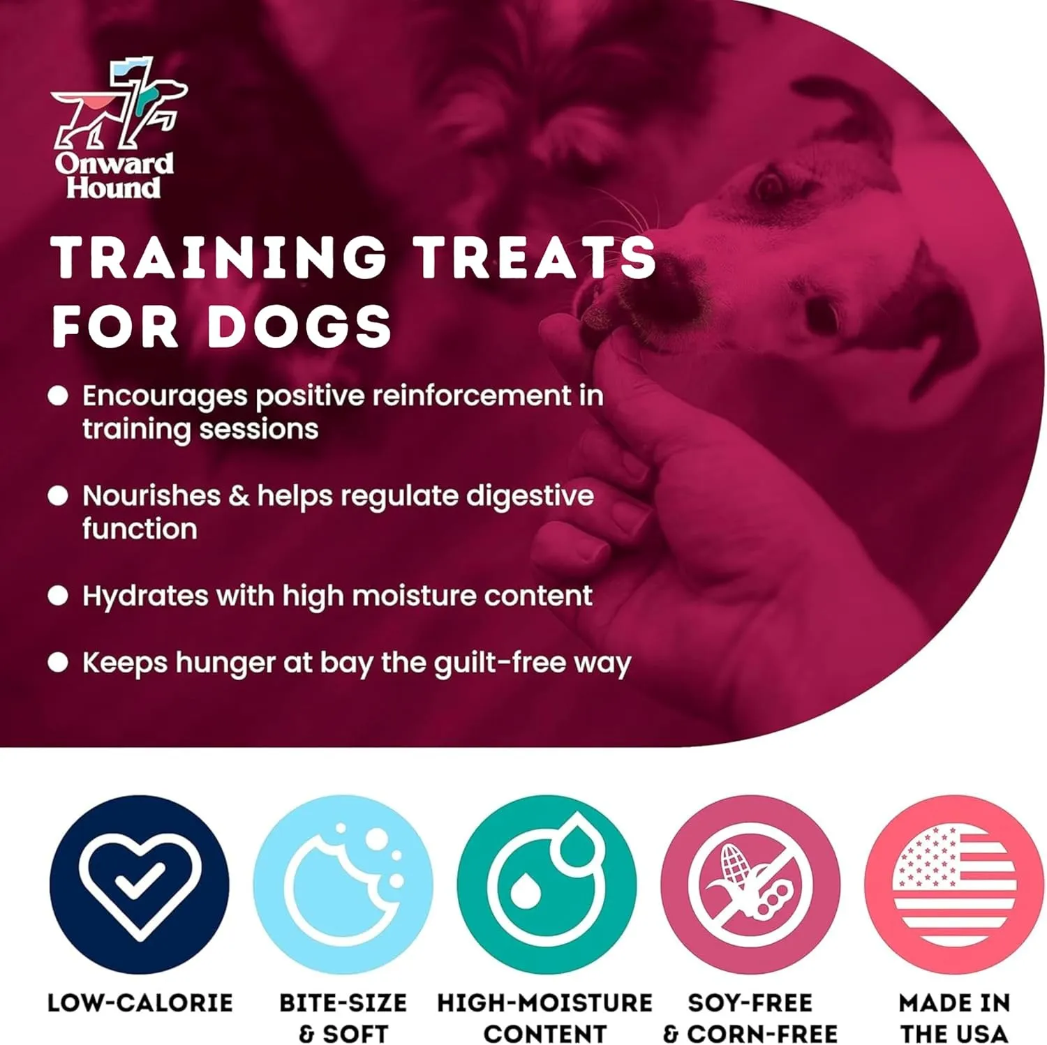 Training Treats for Dogs - Soft Bison - Low Calorie Dog Training Treats for Sensitive Stomachs with Single Source Premium Protein, Corn Free, & Soy Free Formula - 4 oz