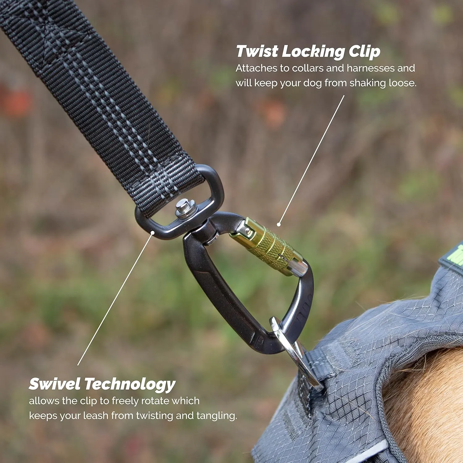 Tuff Mutt Hands-Free Waist Leash for Dog Walking, Running and Hiking, Carabiner Clip, Adjustable Belt with Double Handle, Reflective Bungee Design for Large & Medium Dogs
