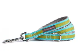Turquoise/Sage Stripe 6ft Dog Leash - 324