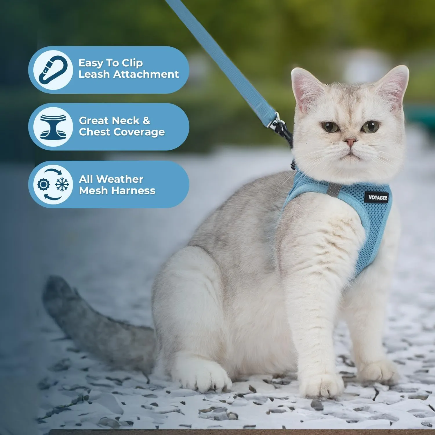 Voyager Step-in Air Cat Leash Harness Set - All Weather Mesh, Step in Vest Harness for Small and Large Cats by Best Pet Supplies - Baby Blue, XXS (Chest 12-13.5")