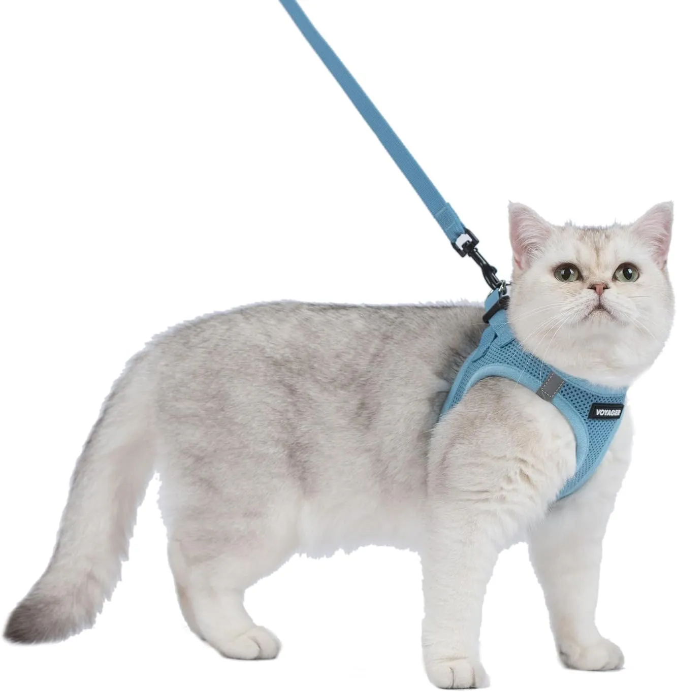 Voyager Step-in Air Cat Leash Harness Set - All Weather Mesh, Step in Vest Harness for Small and Large Cats by Best Pet Supplies - Baby Blue, XXS (Chest 12-13.5")