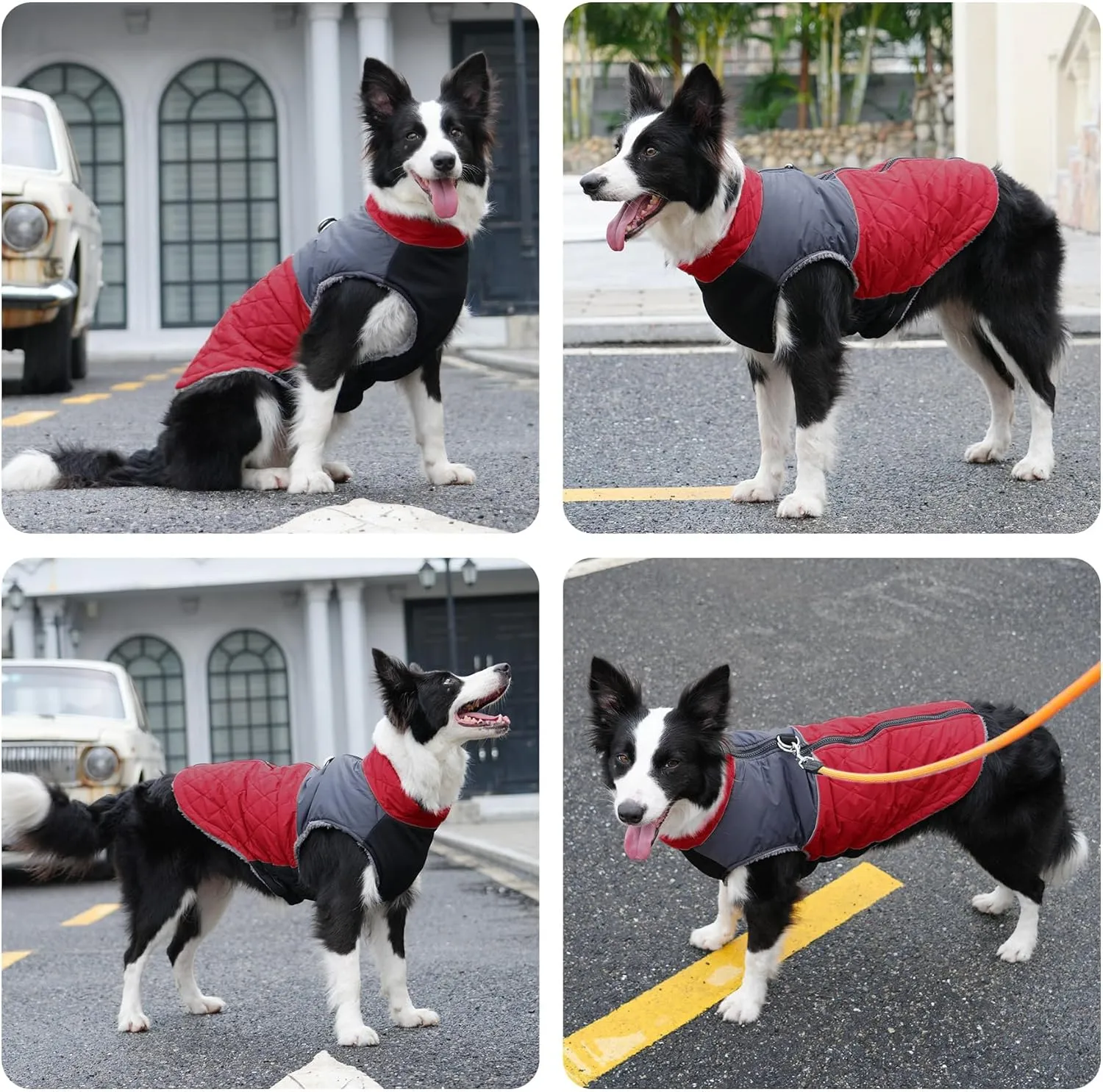 Warm Fleece Dog Coats for Small Dogs,D-Rings Waterproof Puppy Jacket for Cold Winter,Red M