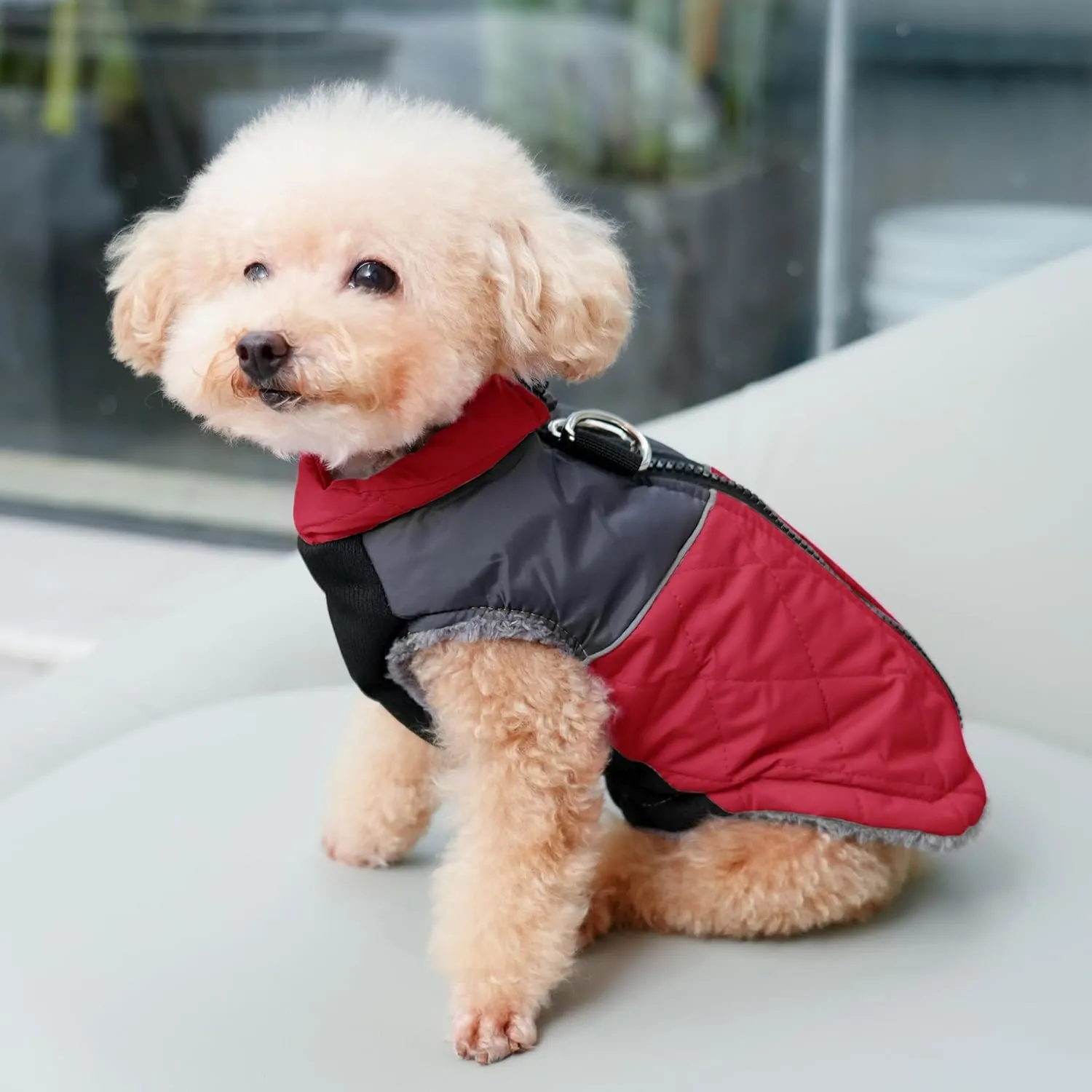 Warm Fleece Dog Coats for Small Dogs,D-Rings Waterproof Puppy Jacket for Cold Winter,Red M