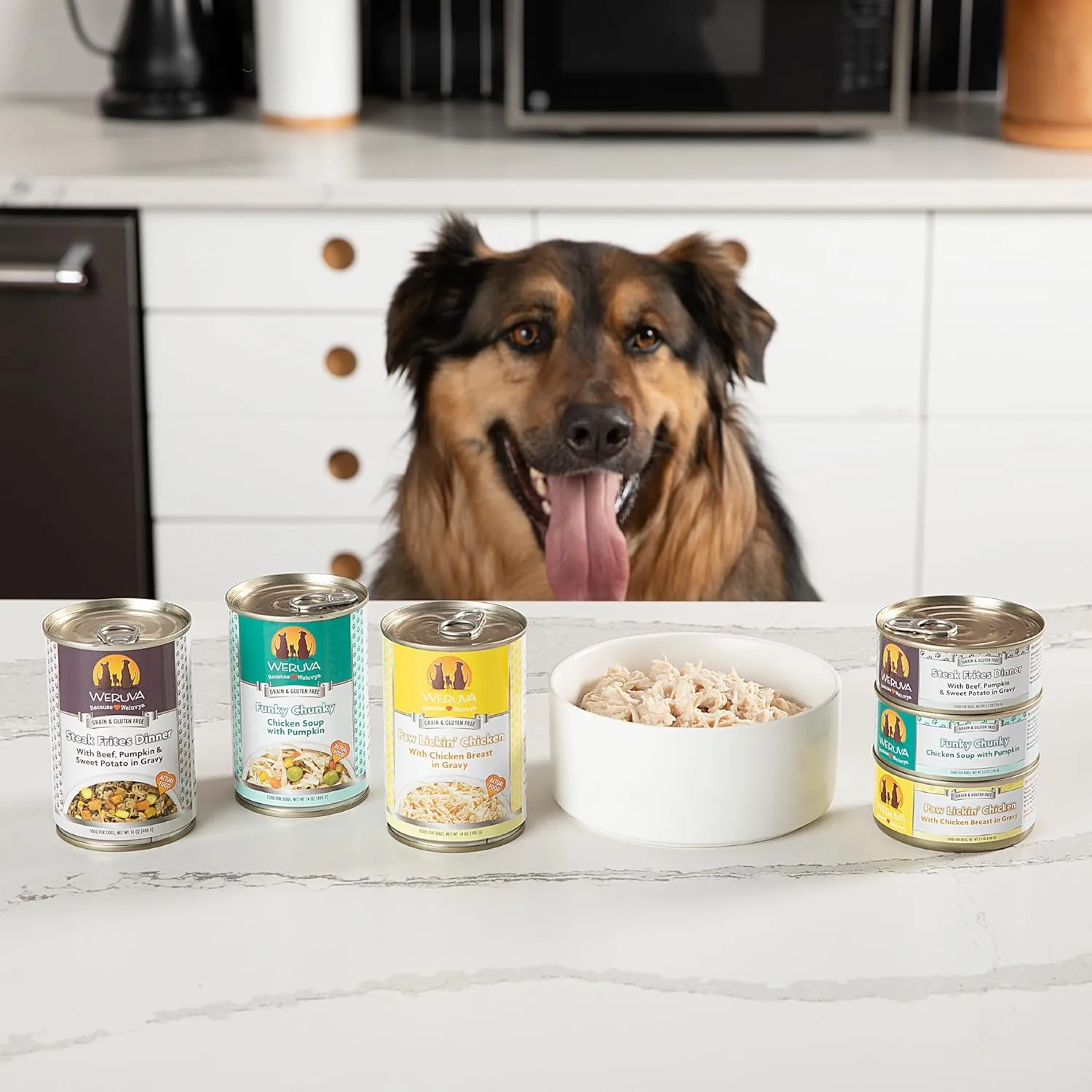 Weruva Classic Dog Food, Jammin' Salmon with Chicken & Salmon in Gravy, 14oz Can (Pack of 12), Red (Jammin Salmon)