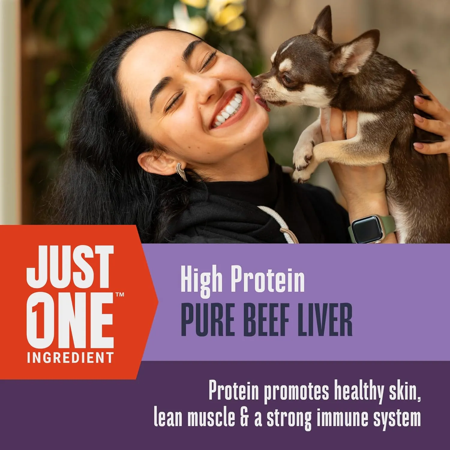 Whole Life Dog Just One Beef Liver Freeze Dried Dog Treats - Human Grade High Protein Food, Healthy Training Snacks, Freeze Dried Food Toppers, USA Made Natural Treats - 18 oz (Pack of 1)