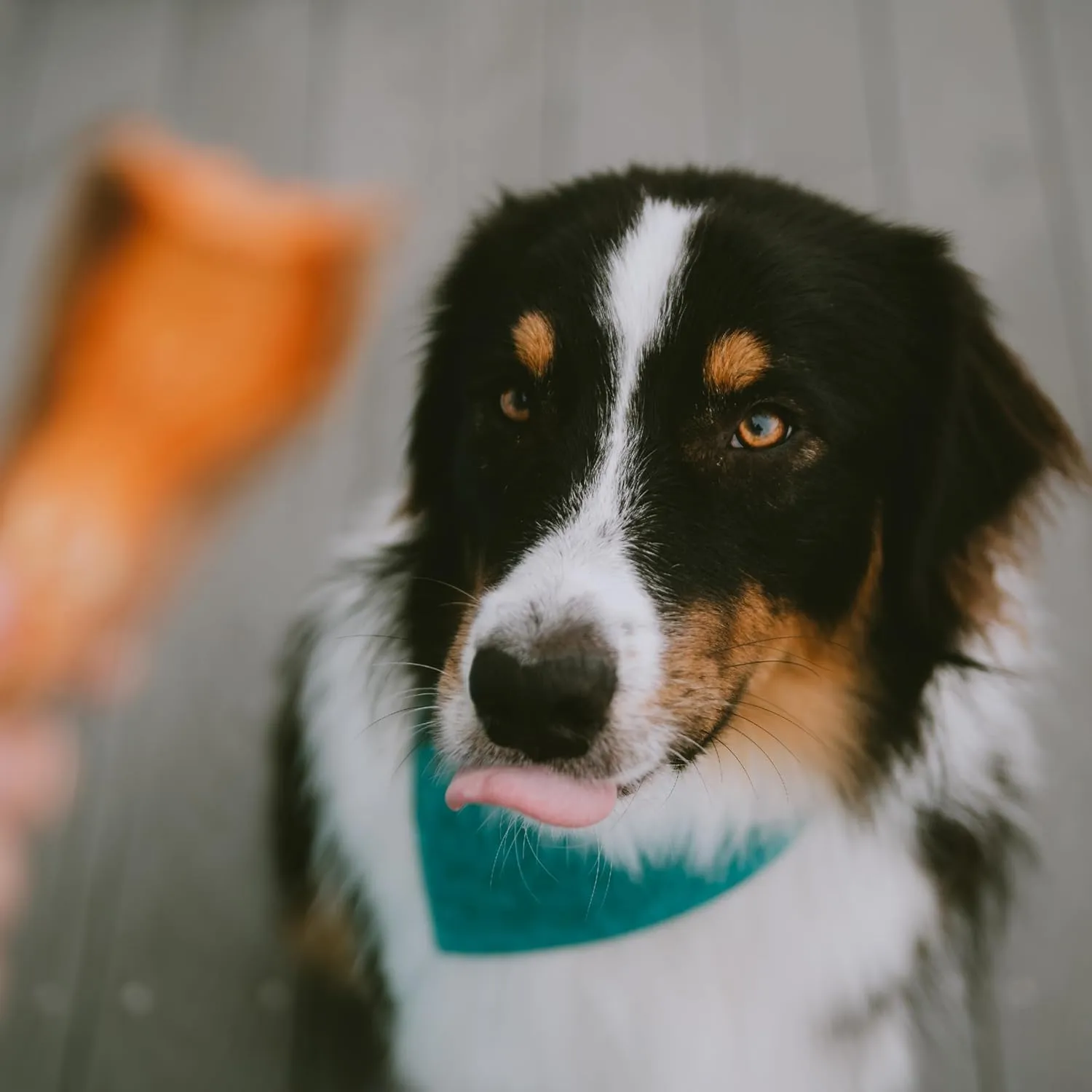 Wholesome Pride Sweet Potato Chews All-Natural Single Ingredient Dog Treats, 32 oz